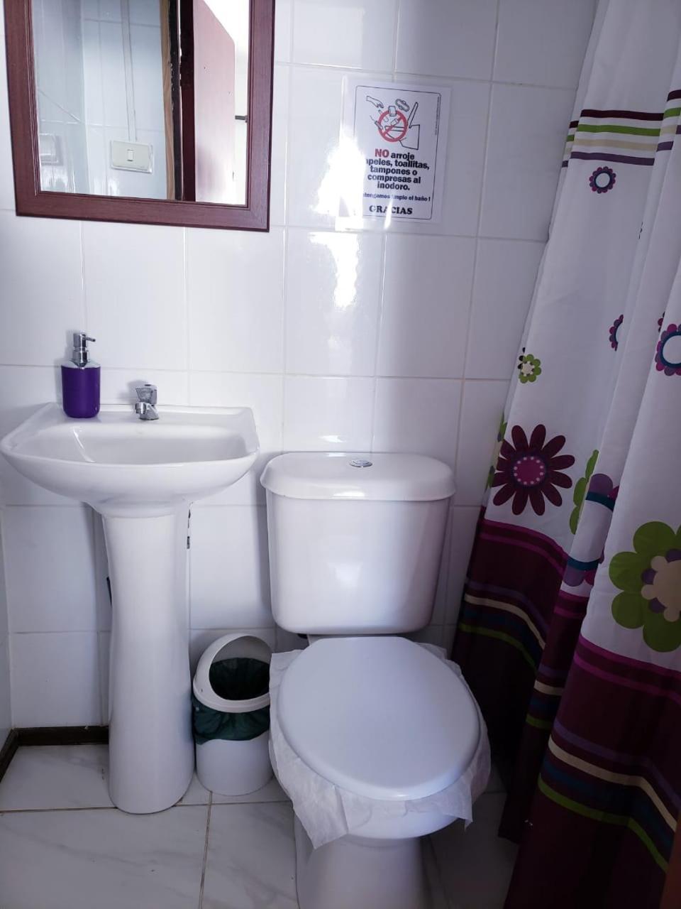 Hostal Arrayan バルジビア エクステリア 写真