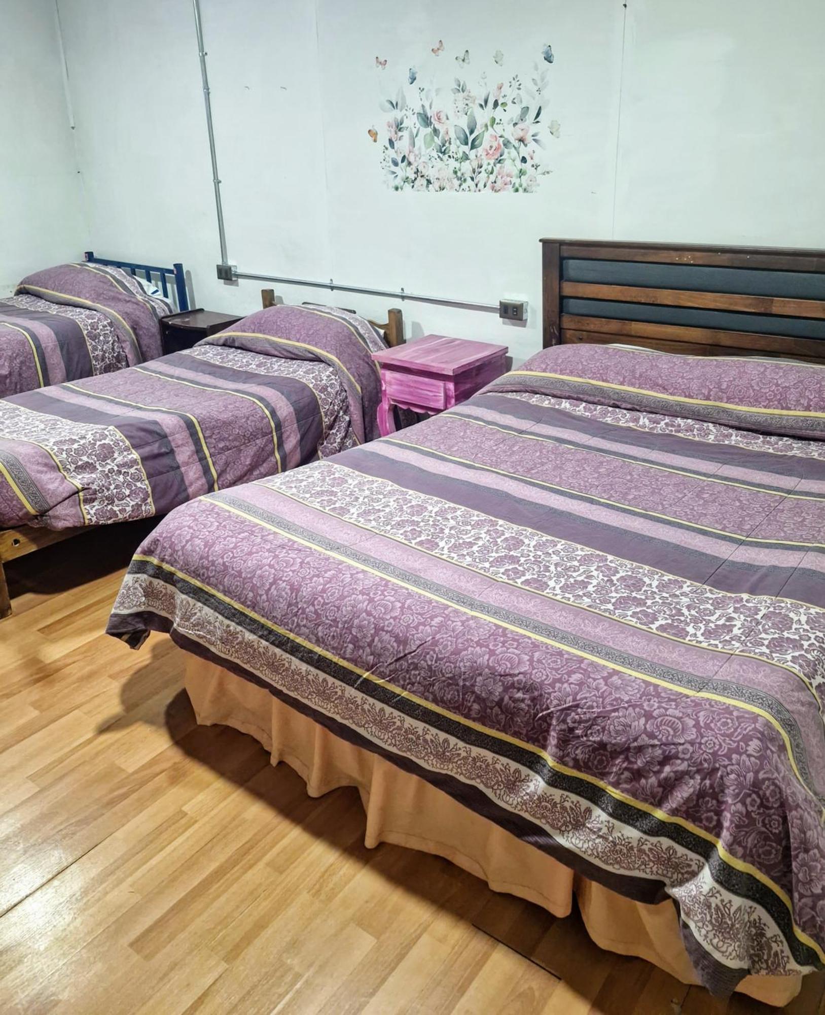 Hostal Arrayan バルジビア エクステリア 写真